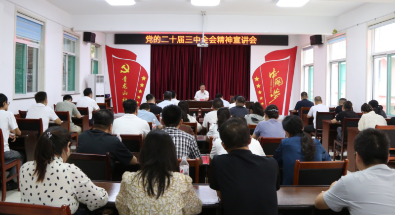 博山區委書記路德芝到城東街道青龍山社區宣講黨的二十屆三中全會精神